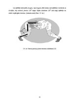 Referāts 'Regbija trenažiera projekts', 19.