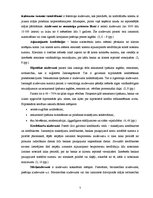 Referāts 'Divu populārāko banku pakalpojumu analīze no katras Baltijas valsts', 5.