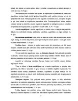 Referāts 'Divu populārāko banku pakalpojumu analīze no katras Baltijas valsts', 8.