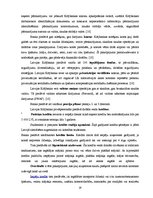 Referāts 'Divu populārāko banku pakalpojumu analīze no katras Baltijas valsts', 18.