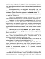 Referāts 'Divu populārāko banku pakalpojumu analīze no katras Baltijas valsts', 19.