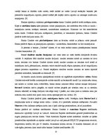 Referāts 'Divu populārāko banku pakalpojumu analīze no katras Baltijas valsts', 20.