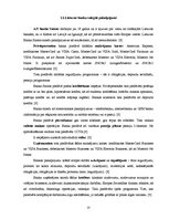 Referāts 'Divu populārāko banku pakalpojumu analīze no katras Baltijas valsts', 23.