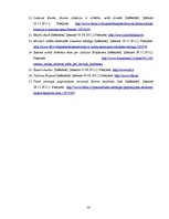 Referāts 'Divu populārāko banku pakalpojumu analīze no katras Baltijas valsts', 33.