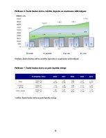 Referāts 'Divu populārāko banku pakalpojumu analīze no katras Baltijas valsts', 38.