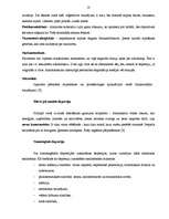 Diplomdarbs 'Depresijas dziļuma pakāpes saistība ar trauksmes līmeni', 18.