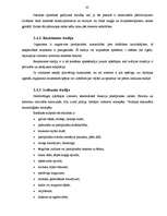 Diplomdarbs 'Depresijas dziļuma pakāpes saistība ar trauksmes līmeni', 45.