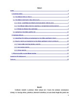 Referāts 'Tetovēšana un ar to saistītie riski', 4.