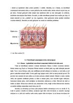 Referāts 'Tetovēšana un ar to saistītie riski', 7.