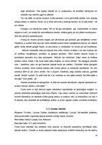 Referāts 'Tetovēšana un ar to saistītie riski', 19.