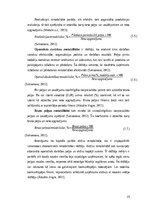 Diplomdarbs 'SIA „Pro vape” finanšu analīze', 15.