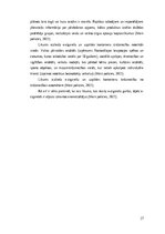 Diplomdarbs 'SIA „Pro vape” finanšu analīze', 27.