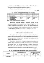 Diplomdarbs 'SIA „Pro vape” finanšu analīze', 36.