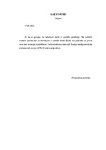 Diplomdarbs 'SIA „Pro vape” finanšu analīze', 56.