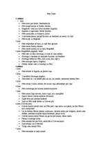 Konspekts 'H.Ibsens "Pērs Gints"', 1.