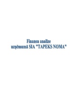 Referāts 'Finanšu analīze uzņēmumā', 1.