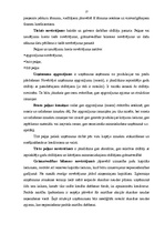 Referāts 'Finanšu analīze uzņēmumā', 13.