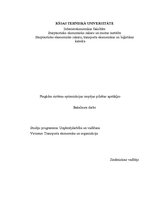 Referāts 'Piegādes sistēmu optimizācijas iespējas pilsētas apstākļos', 1.