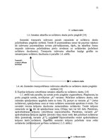 Referāts 'Piegādes sistēmu optimizācijas iespējas pilsētas apstākļos', 12.
