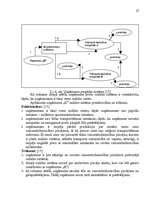 Referāts 'Piegādes sistēmu optimizācijas iespējas pilsētas apstākļos', 27.
