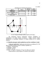 Referāts 'Piegādes sistēmu optimizācijas iespējas pilsētas apstākļos', 42.