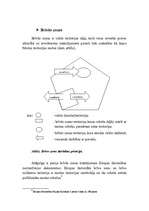 Konspekts 'Muitas teritorija un muitas robeža', 4.