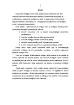 Referāts 'Konkurences stratēģijas un to pielietojums praksē', 5.