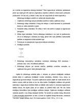 Referāts 'Konkurences stratēģijas un to pielietojums praksē', 12.