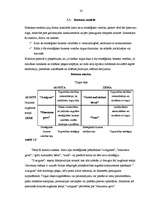 Referāts 'Konkurences stratēģijas un to pielietojums praksē', 25.