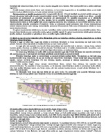 Konspekts 'Embrioloģija', 8.