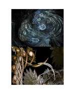 Konspekts 'Fraktāļi', 12.