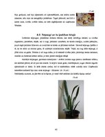 Prakses atskaite 'Kvalifikācijas prakses atskaite. Profesija - sekretāre', 40.