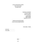 Referāts 'Panika kā sociāli psiholoģisks fenomens', 1.