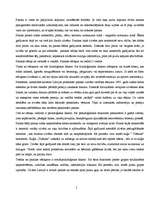 Referāts 'Panika kā sociāli psiholoģisks fenomens', 5.