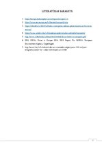 Referāts 'Autotransporta radītā piesārņojuma ietekme uz apkārtējo vidi', 13.