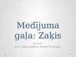 Prezentācija 'Medījuma gaļa - zaķis', 1.