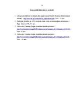 Referāts 'Eiropas Savienības kopīgās valūtas - eiro - ieviešana Latvijā', 10.