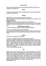 Referāts 'Albērs Kamī un romāns "Svešinieks"', 7.