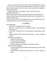 Referāts 'Namu inženierkomunikāciju tehniskās apsekošanas atskaite', 4.