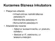 Prezentācija 'Galvenie inovatīvās uzņēmējdarbības infrastruktūras subjekti Kurzemē', 3.