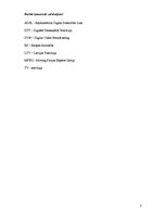 Referāts 'Digitālā televīzija, tās veidi unperspektīvas Latvijā', 2.