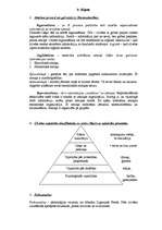 Konspekts 'Psiholoģija', 19.