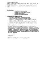 Konspekts 'Psiholoģija', 32.