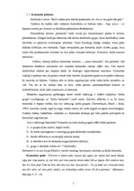 Referāts 'Komandu vadība un atspoguļojums praksē', 5.