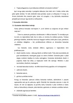 Referāts 'Komandu vadība un atspoguļojums praksē', 9.