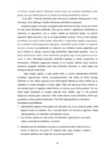 Referāts 'Komandu vadība un atspoguļojums praksē', 22.