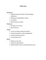 Biznesa plāns 'SIA "Skvērs"', 8.