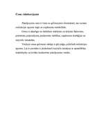 Biznesa plāns 'SIA "Skvērs"', 18.