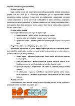 Referāts 'Informācijas sabiedrības pārvalde Latvijā - e-pārvalde', 11.