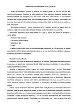 Referāts 'Informācijas sabiedrības pārvalde Latvijā - e-pārvalde', 19.